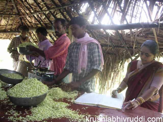 ಹೂವಿನ ಬೆಳೆಗಾರರಿಗೆ ಭಾರೀ ನಷ್ಟ-Flower farmers are facing loss