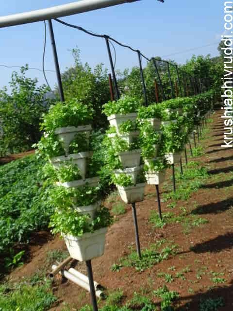 Water and manure saving vertical farming  