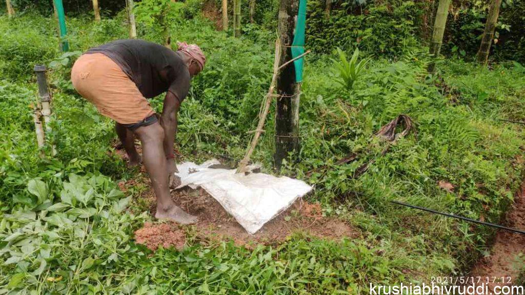 mulching of plastic  bag to prevent erosion 