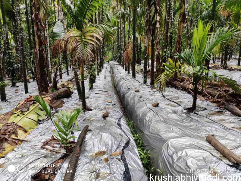 Complete covering of mulching sheets