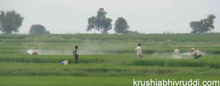 ಶ್ರೀಲಂಕಾಕ್ಕೆ ಮತ್ತೆ ಭಾರತದಿಂದ ಸಾರಜನಕ ಗೊಬ್ಬರ.