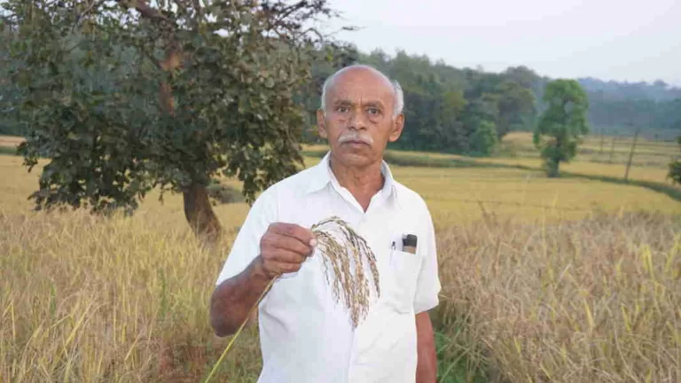 ವೃತ್ತಿ ಪ್ರೌಢತೆ ಪಡೆದುಕೊಂಡ ಓರ್ವ ಕಾಫೀ, ಮೆಣಸು ಭತ್ತದ ಕೃಷಿಕ ವೈ ಎಸ್ ರುದ್ರಪ್ಪ, ಸಕಲೇಶಪುರ, ಬಾಗೆಯ ಕೃಷಿಕರು.