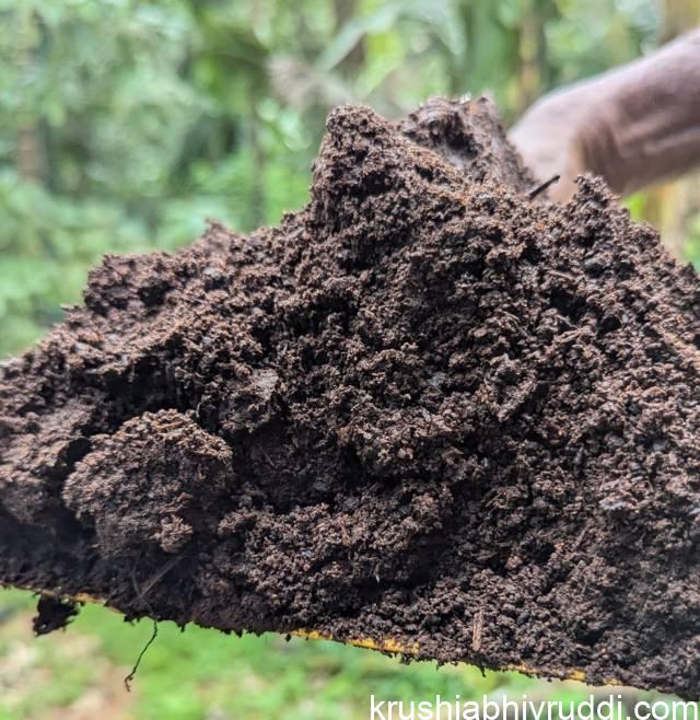 ಕೊಟ್ಟಿಗೆ ಗೊಬ್ಬರ  ಅಥವಾ ಕಾಂಪೋಷ್ಟು ಗೊಬ್ಬರ FYM (Farm yard Manure) 